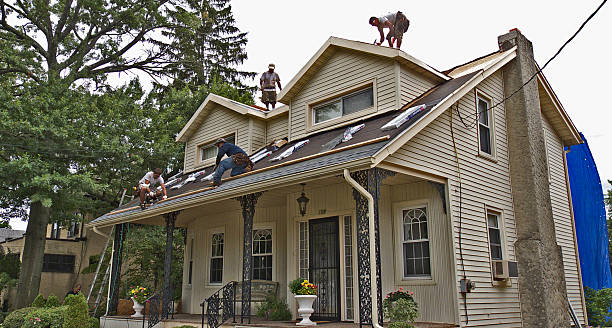 Best Gutter Installation and Roofing  in Wildwood, NJ